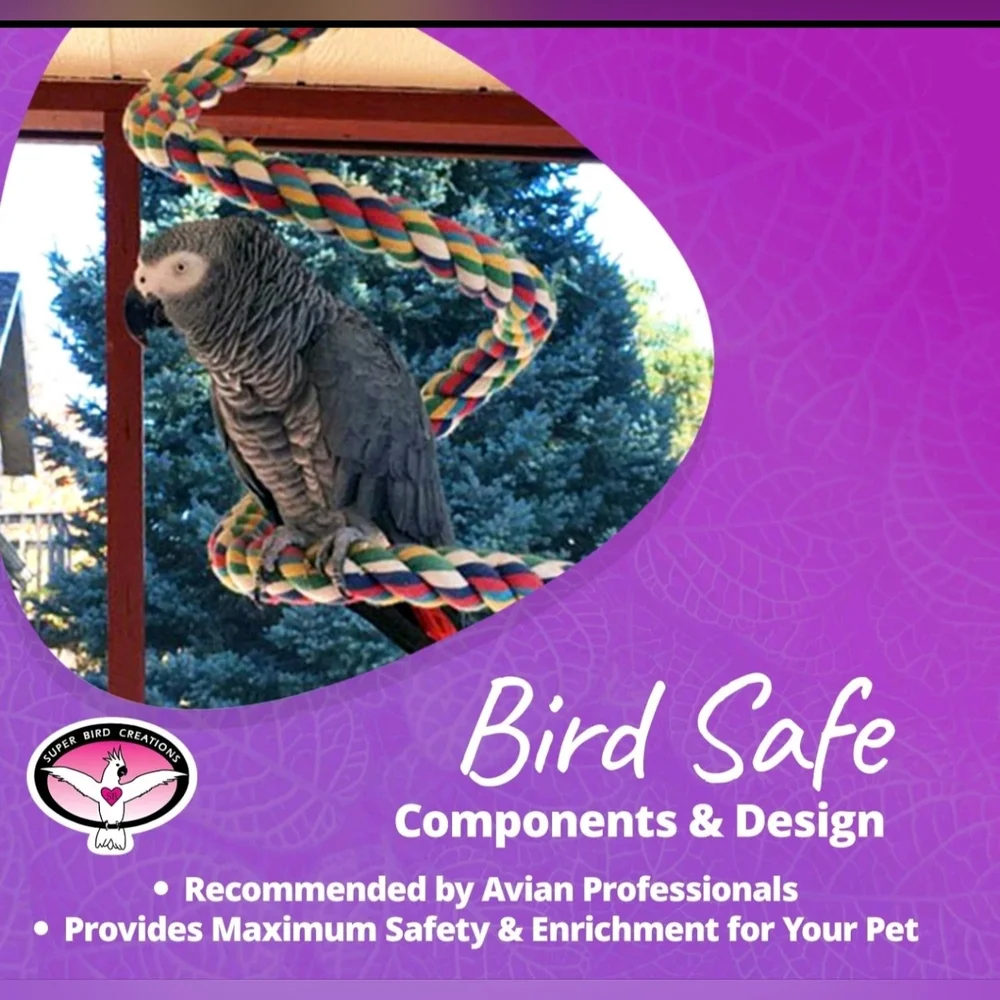 Super Bird Creations Multicolor Bird Perch